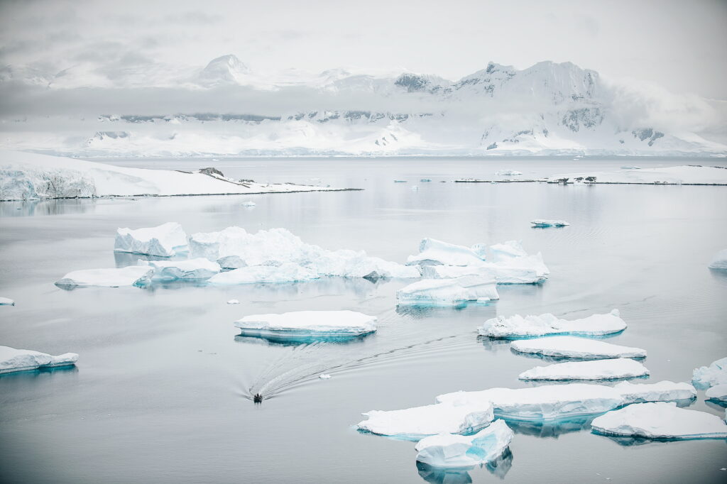 Paysage polaire avec plusieur iceberg et une montagne en arrière plan